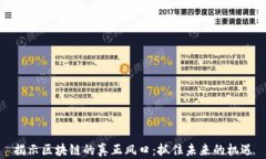揭示区块链的真正风口：抓住未来的机遇
