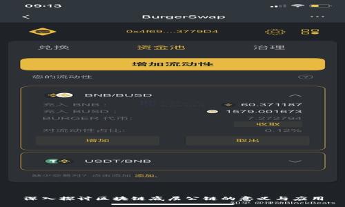 深入探讨区块链底层公链的意义与应用