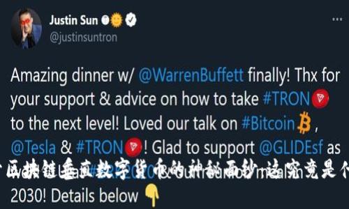 揭开区块链垂直数字货币的神秘面纱：这究竟是什么？