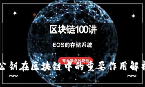公钥在区块链中的重要作用解析