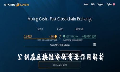 公钥在区块链中的重要作用解析
