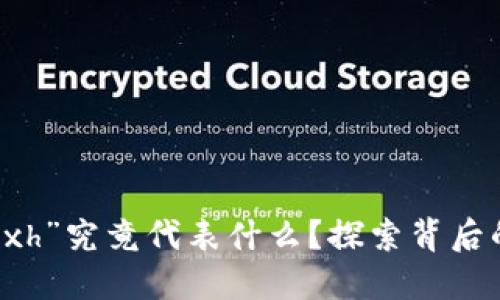 区块链中的“xh”究竟代表什么？探索背后的含义与应用