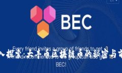 深入探索：大丰币区块链币的秘密与前景