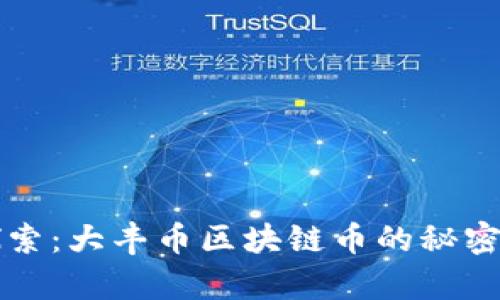 深入探索：大丰币区块链币的秘密与前景