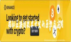 揭秘区块链技术开发的原理与应用