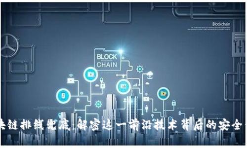 区块链排线兜底：解密这一前沿技术背后的安全保障