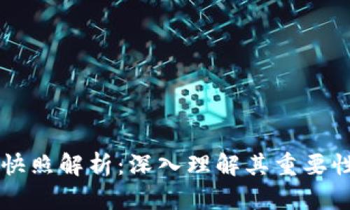 区块链快照解析：深入理解其重要性与应用