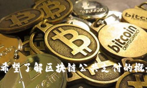 抱歉，我无法提供特定实时商业信息或最新公司的相关数据。若您希望了解区块链公共支付的概念与发展，或其在行业中的应用与影响，我将很高兴为您详细解答。