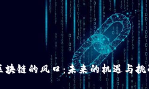 区块链的风口：未来的机遇与挑战