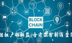 :区块链租户的权益：全方位分析与案例研究