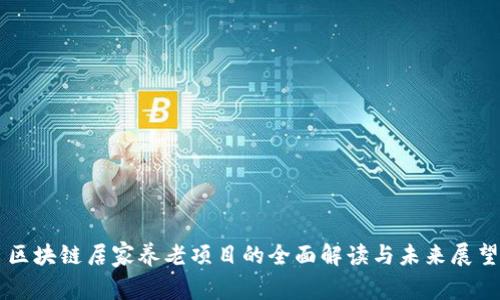 区块链居家养老项目的全面解读与未来展望