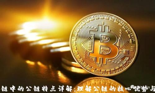 
区块链中的公链特点详解：理解公链的核心优势与应用