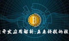 区块链开发应用解析：未来科技的核心力量