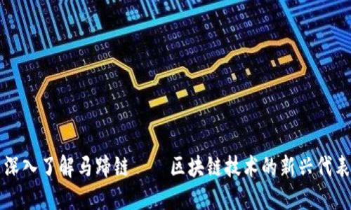 深入了解马蹄链——区块链技术的新兴代表