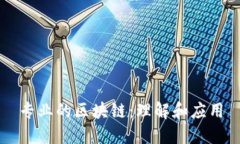 专业的区块链：理解和应用