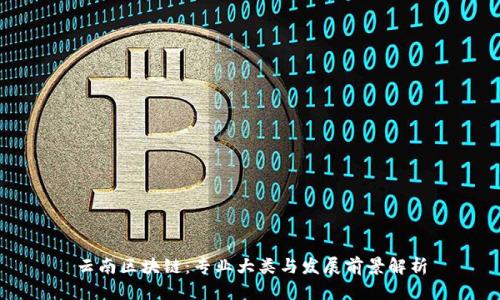 云南区块链：专业大类与发展前景解析