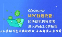 biaso虚拟钱包区块链技术：全面解读与应用前景