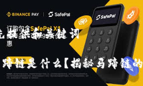 拆分内容，先提供和关键词

区块链的马蹄链是什么？揭秘马蹄链的原理与应用