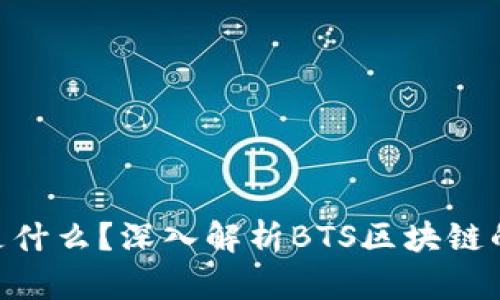 BTS区块链是什么？深入解析BTS区块链的功能与应用