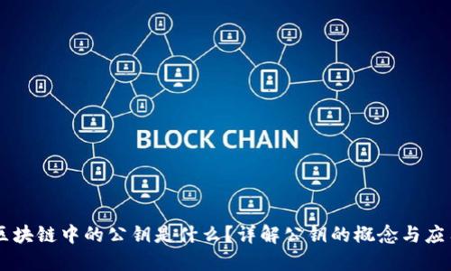 区块链中的公钥是什么？详解公钥的概念与应用