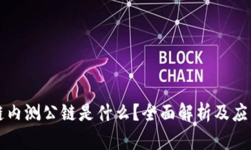 区块链内测公链是什么？全面解析及应用前景