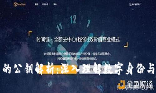 区块链中的公钥解析：深入理解数字身份与安全机制