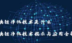 区块链净化技术是什么区块链净化技术揭示与应