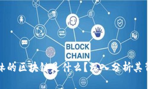 火币网李林的区块链是什么？深入分析其背景与发展