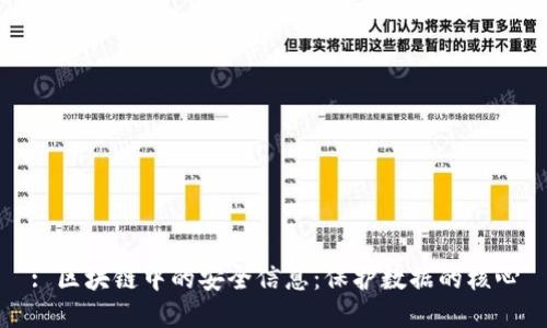 : 区块链中的安全信息：保护数据的核心