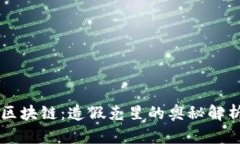 区块链：造假克星的奥秘解析