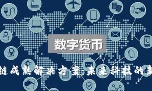 区块链成熟解决方案：未来科技的新趋势