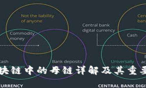 区块链中的母链详解及其重要性
