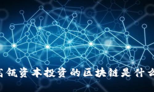 高瓴资本投资的区块链是什么？