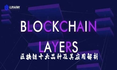 区块链十大品种及其应用解析