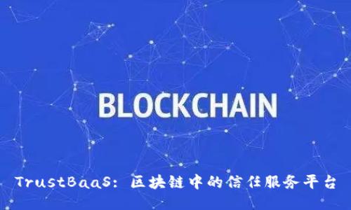 TrustBaaS: 区块链中的信任服务平台