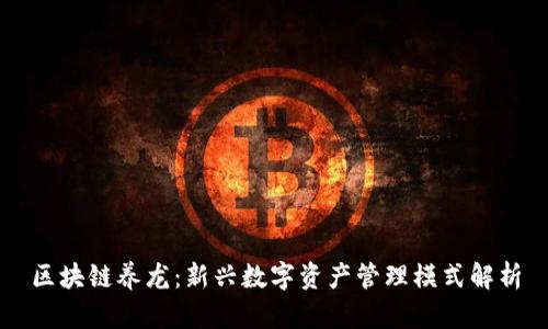区块链养龙：新兴数字资产管理模式解析