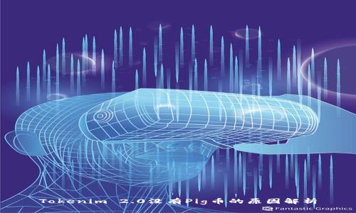 Tokenim 2.0没有Pig币的原因解析