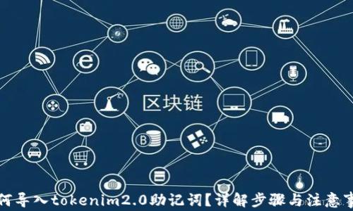 
如何导入tokenim2.0助记词？详解步骤与注意事项