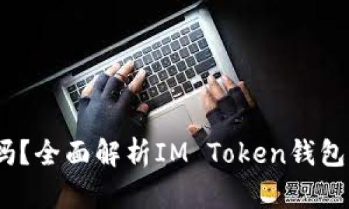 IM Token钱包安全吗？全面解析IM Token钱包的安全性和使用技巧