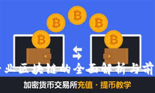 大学专业区块链的全面解析与前景展望
