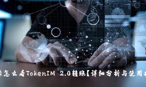 哈希怎么看TokenIM 2.0转账？详细分析与使用指南
