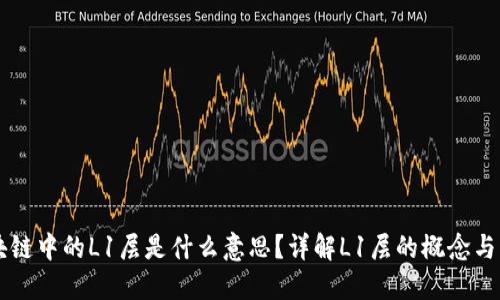 区块链中的L1层是什么意思？详解L1层的概念与应用