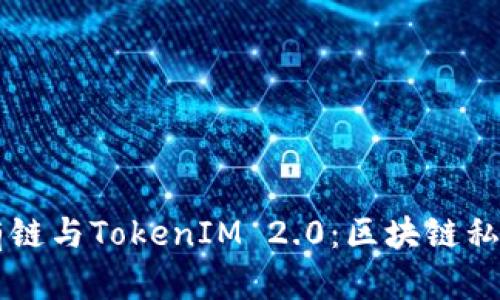 以太坊私有链与TokenIM 2.0：区块链私有化的未来