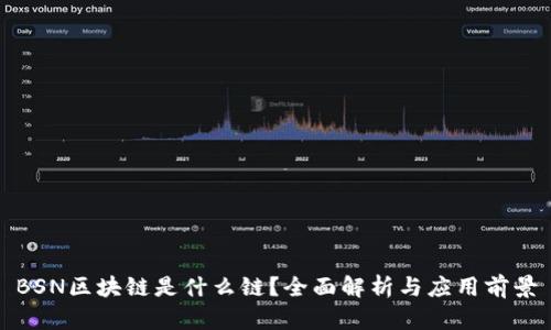 BSN区块链是什么链？全面解析与应用前景
