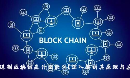 二进制区块链是什么软件？深入解析其原理与应用