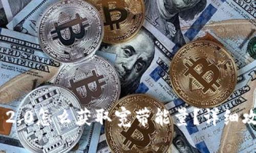 Tokenim 2.0怎么获取宽带能量？详细攻略与技巧