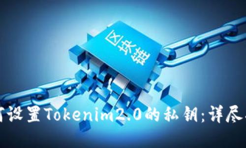 如何设置Tokenim2.0的私钥：详尽指南