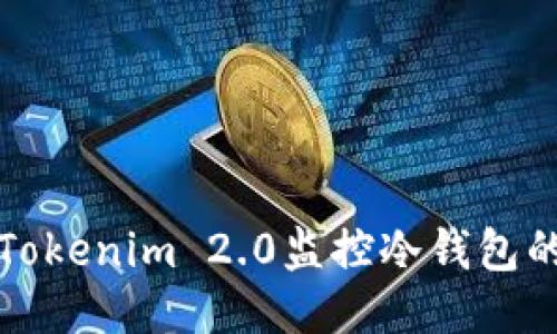 如何使用Tokenim 2.0监控冷钱包的详细指南