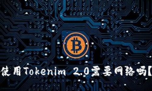 使用Tokenim 2.0需要网络吗？