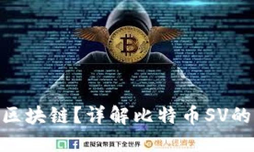 BSV是什么区块链？详解比特币SV的特点与应用